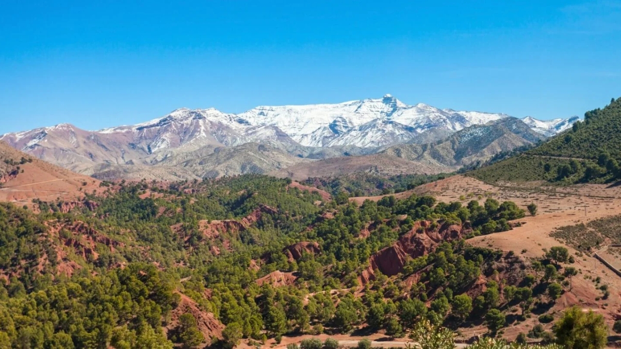 Full Day Excursion from Fes to Middle Atlas