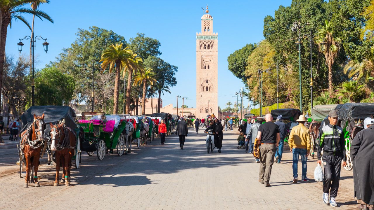 Why Visit Marrakech? The Beating Heart of Morocco