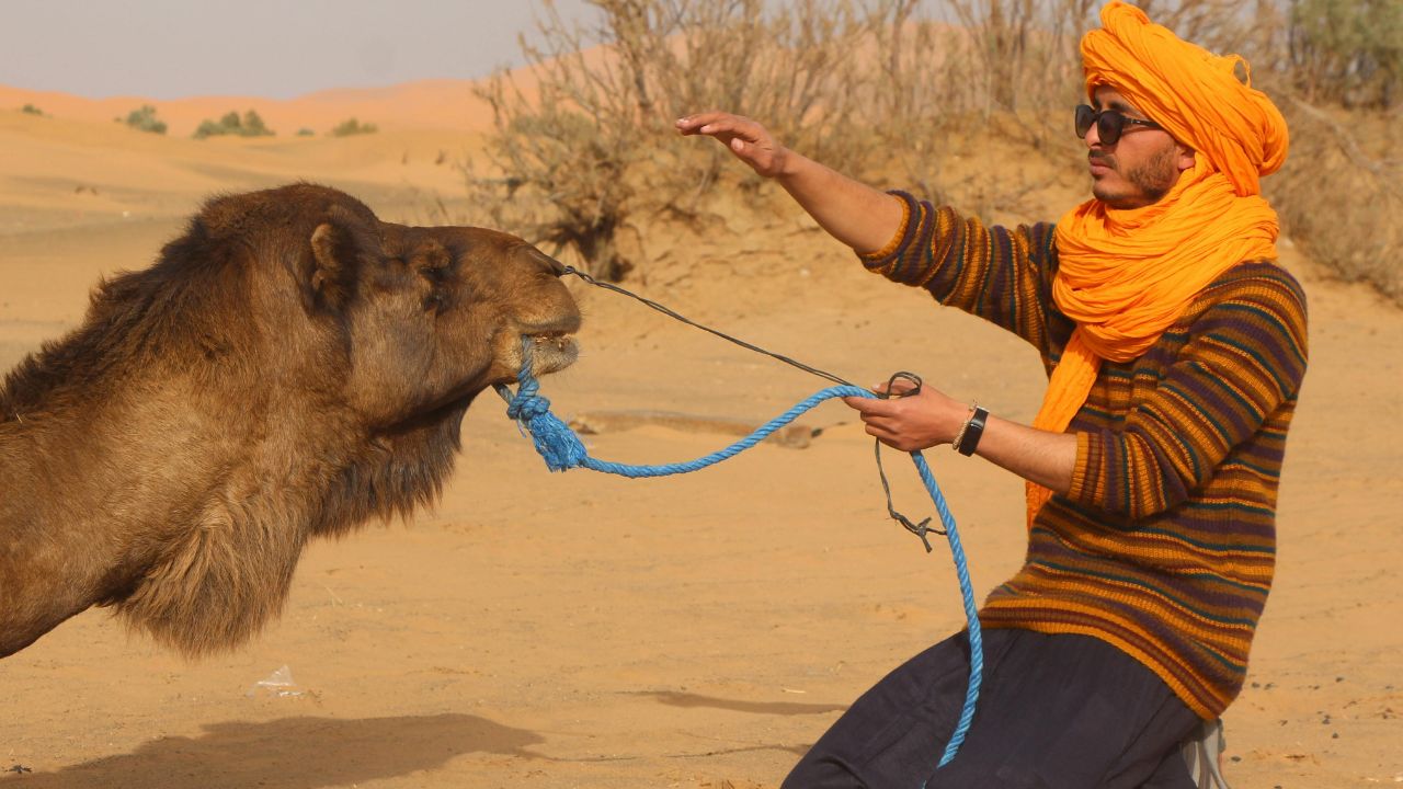 5 days Desert tour from Errachidia